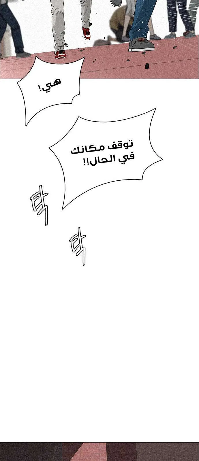 الصفحة 22 من 54