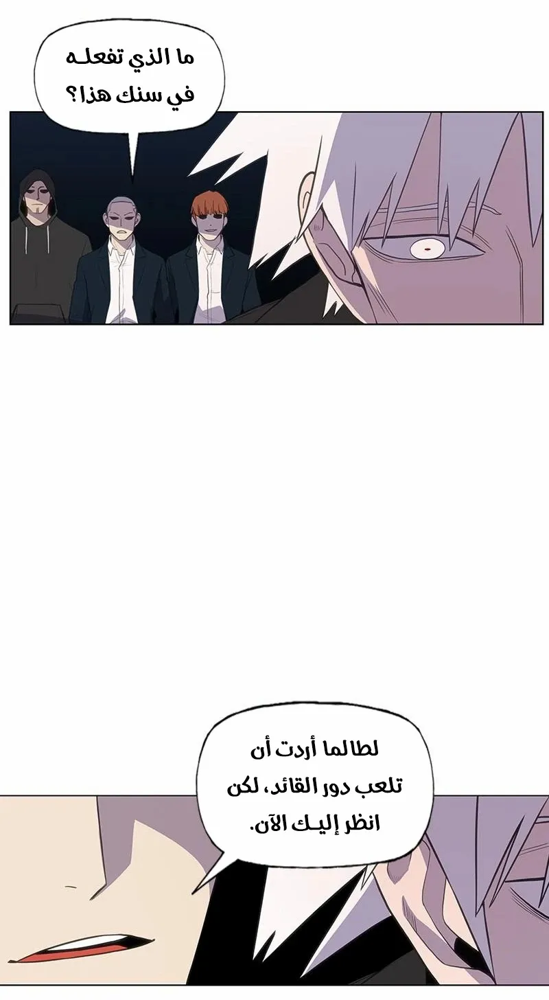 الصفحة 20 من 106