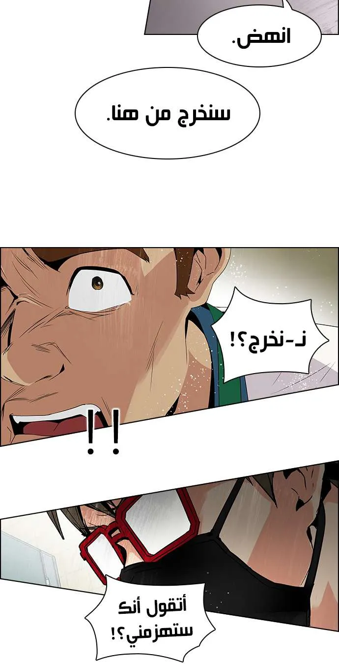 الصفحة 16 من 49