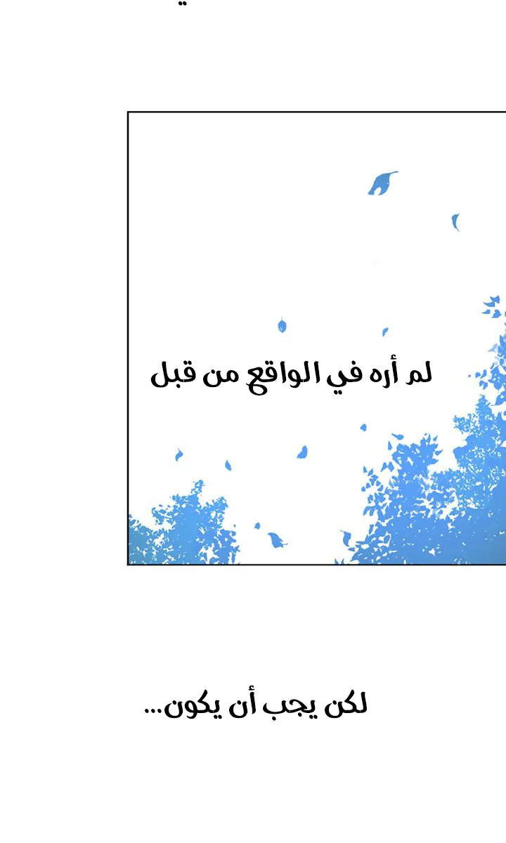 الصفحة 12 من 52