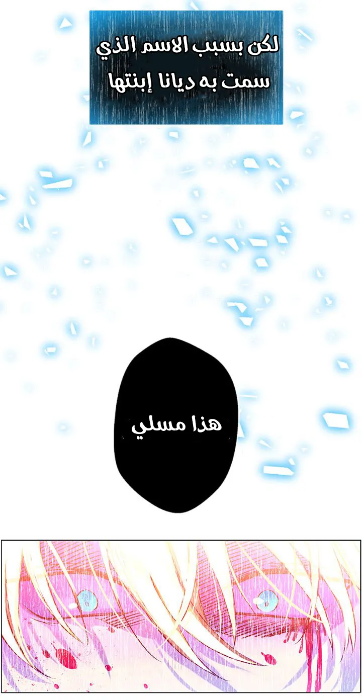 الصفحة 33 من 52
