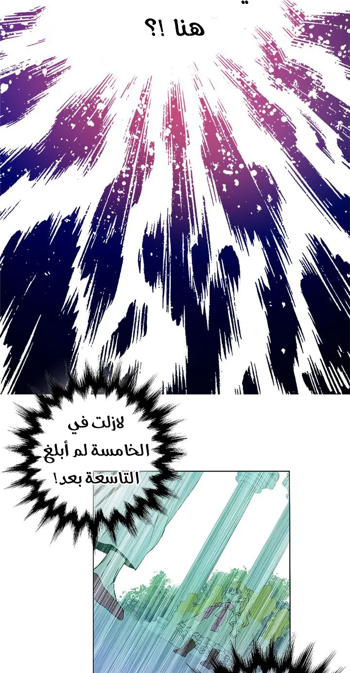 الصفحة 19 من 52