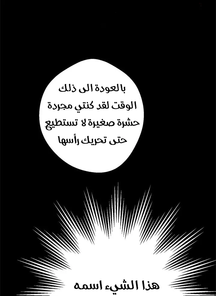 الصفحة 28 من 52