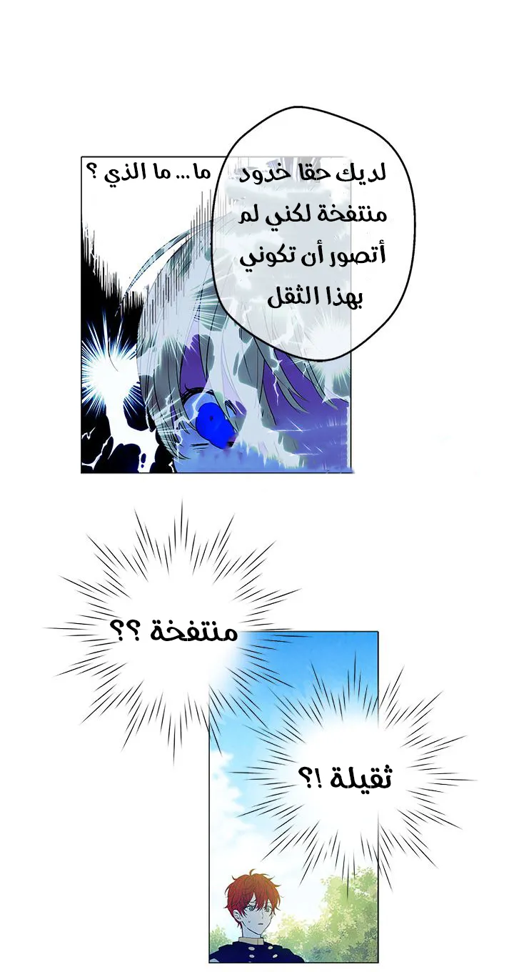 الصفحة 48 من 52