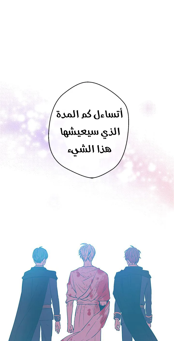 الصفحة 34 من 52
