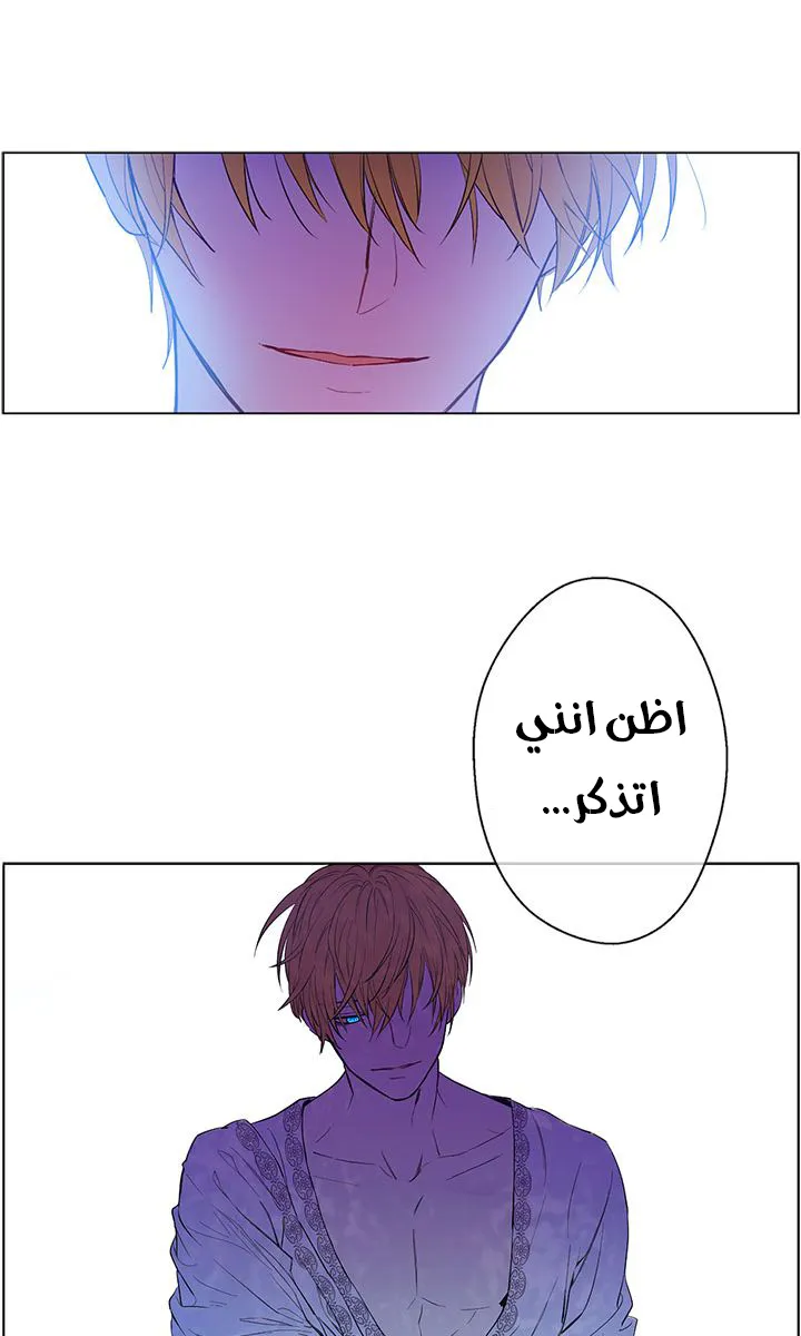 الصفحة 22 من 52