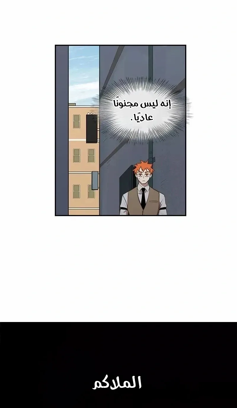 الصفحة 14 من 76