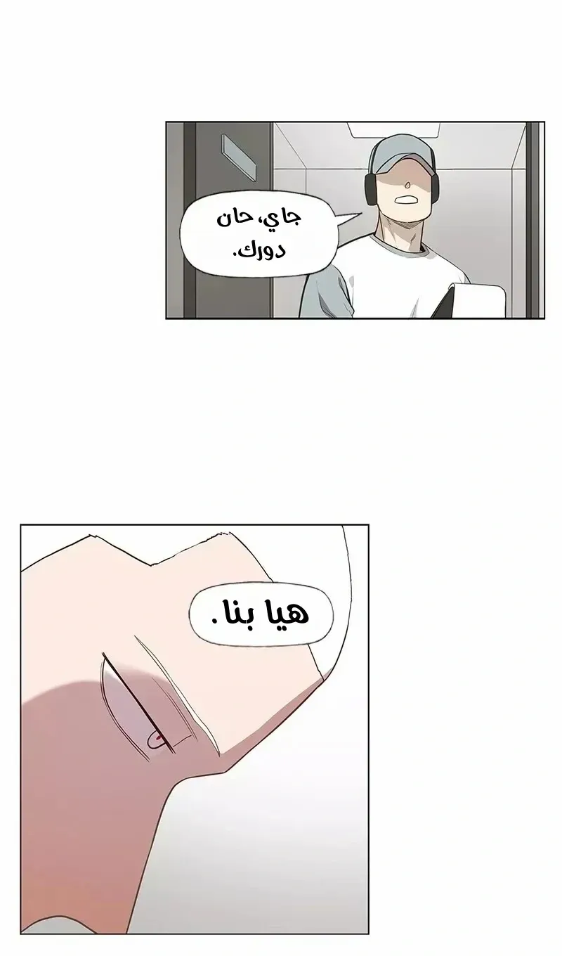 الصفحة 38 من 76
