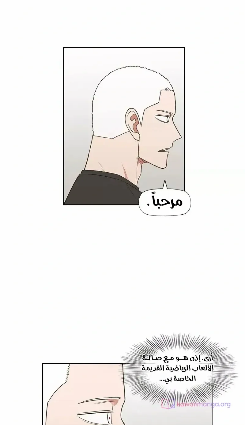 الصفحة 22 من 76