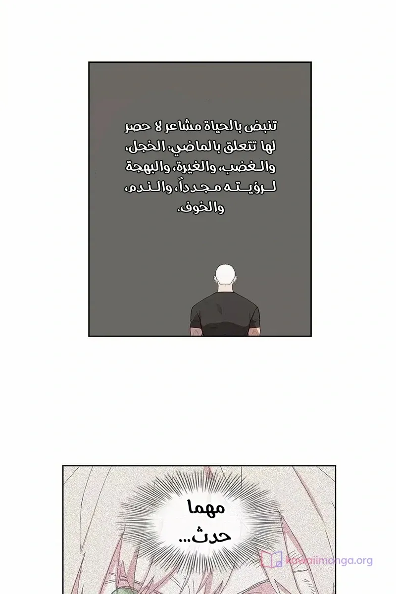الصفحة 31 من 76
