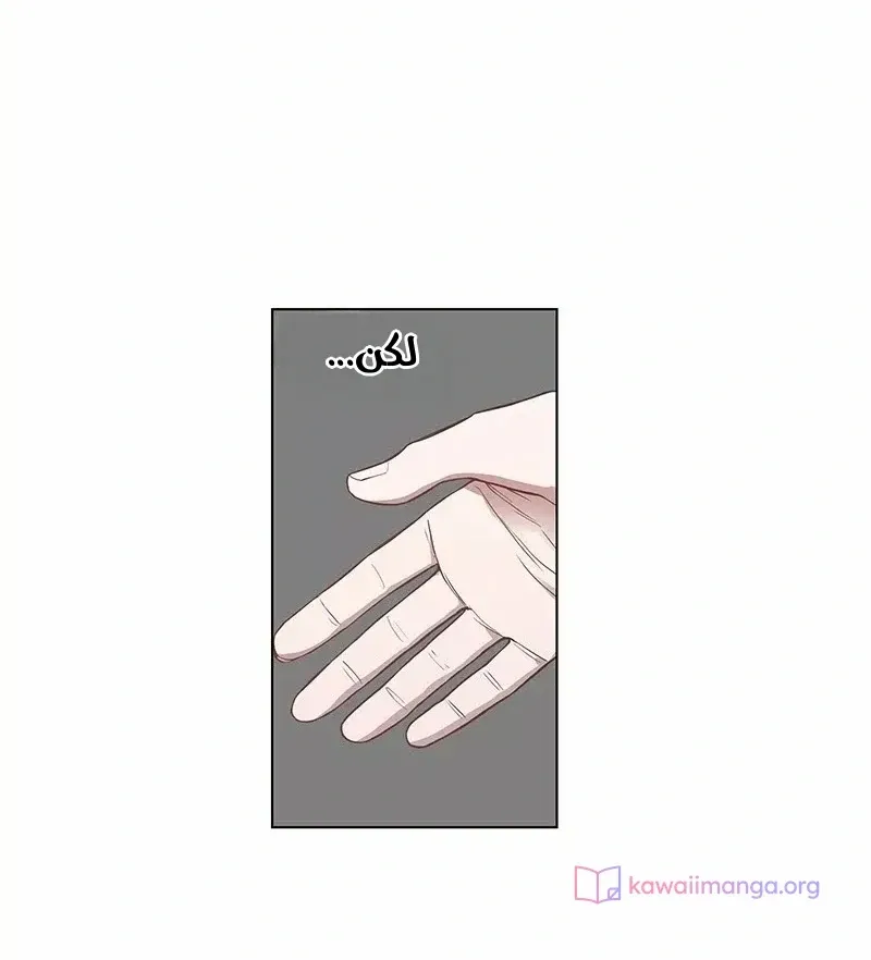 الصفحة 25 من 76