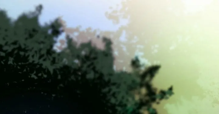 الصفحة 1 من 240