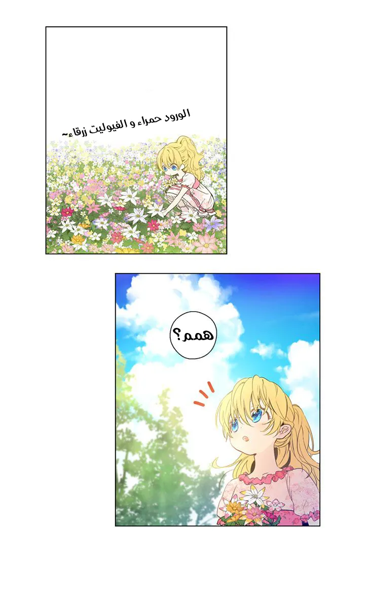 الصفحة 43 من 45