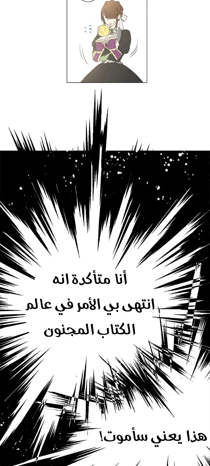الصفحة 11 من 45