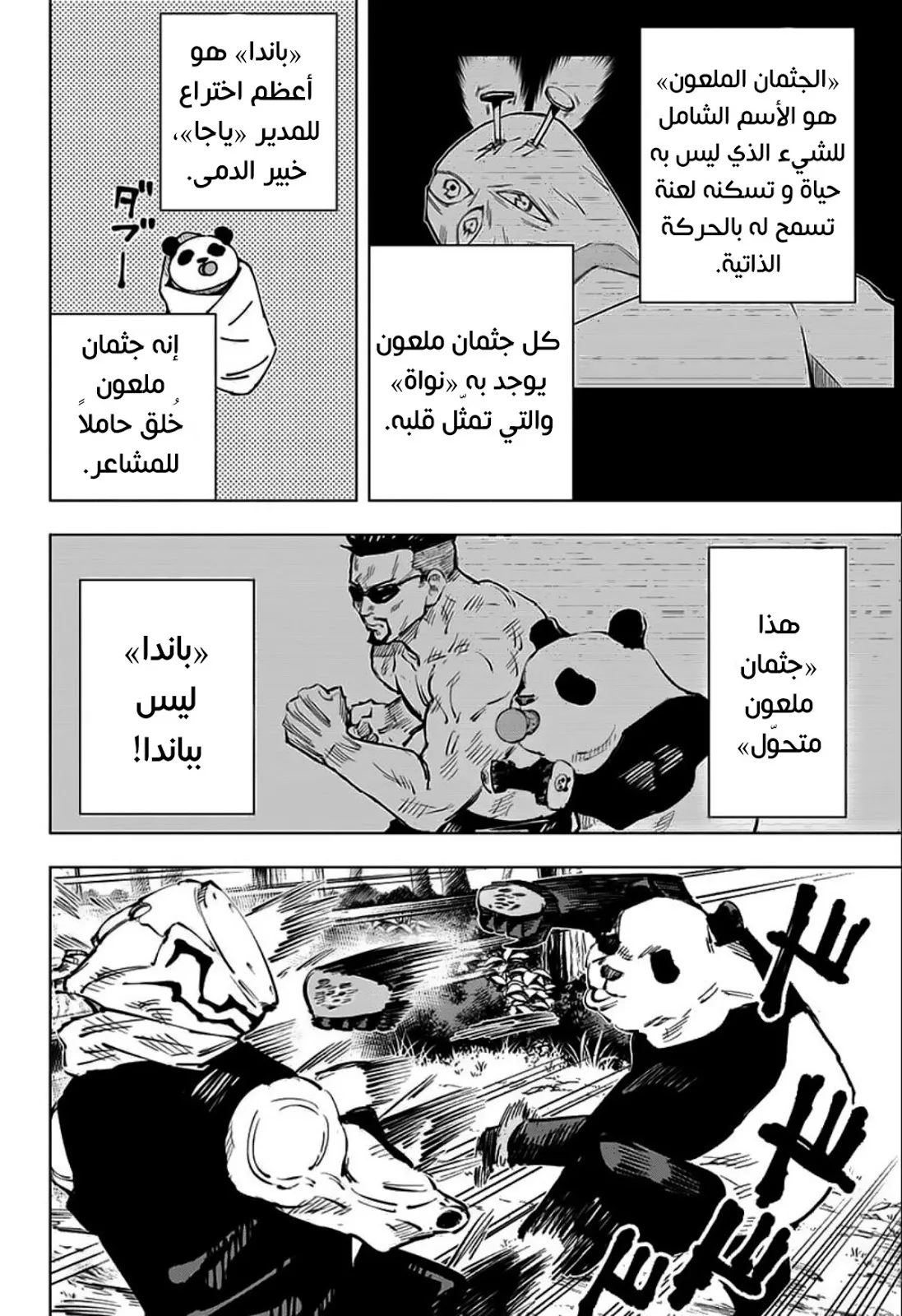 الصفحة 11 من 19