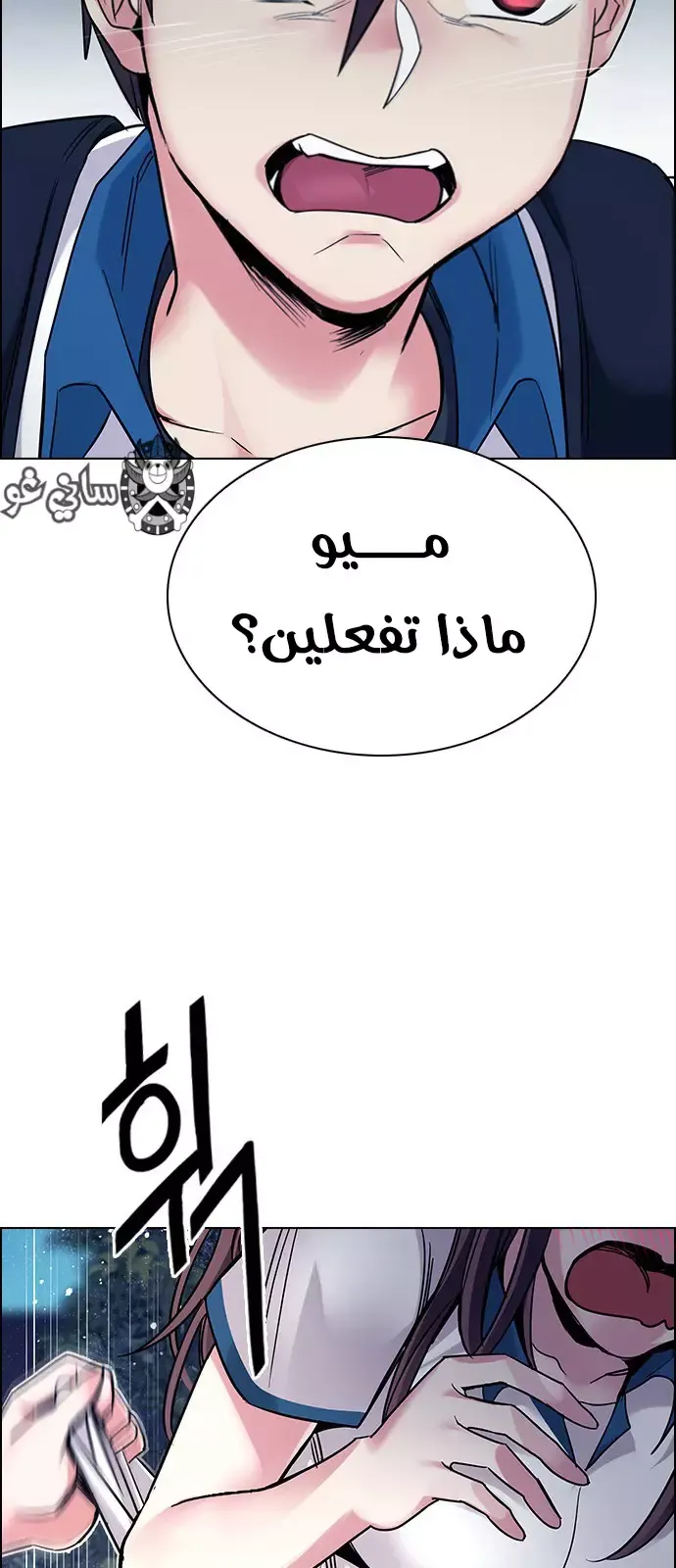 الصفحة 19 من 46