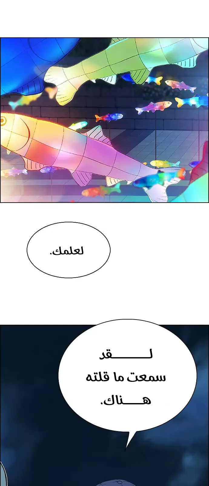 الصفحة 3 من 46