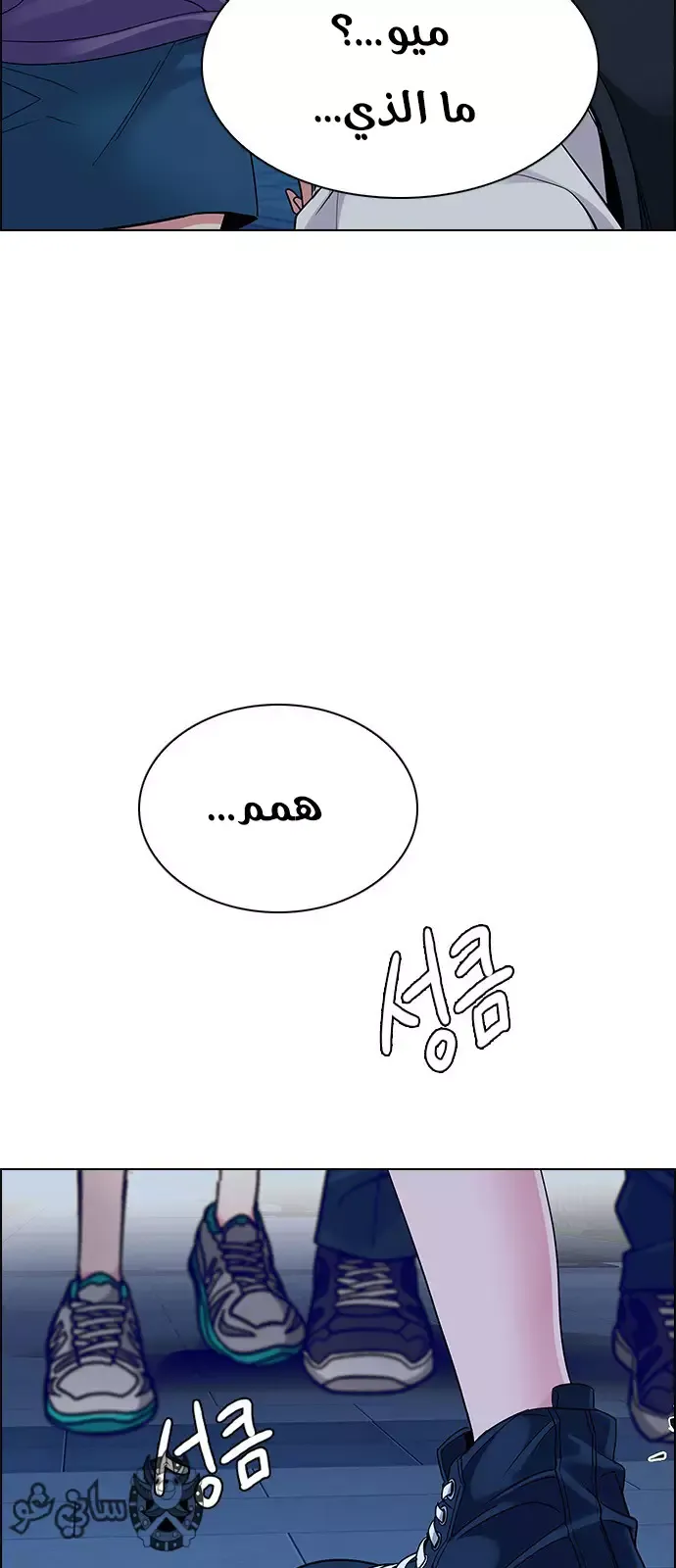 الصفحة 13 من 46