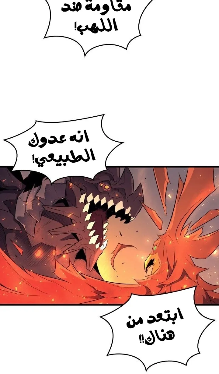 الصفحة 44 من 69