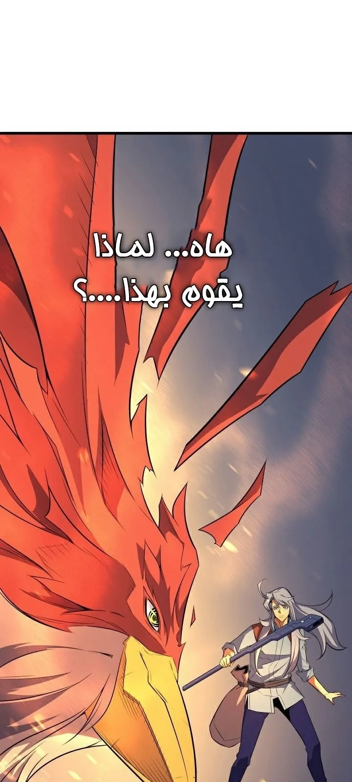 الصفحة 47 من 69