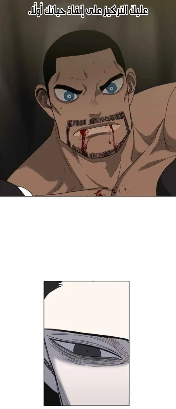 الصفحة 48 من 55