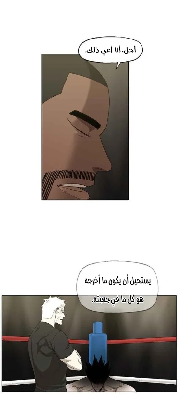 الصفحة 13 من 55