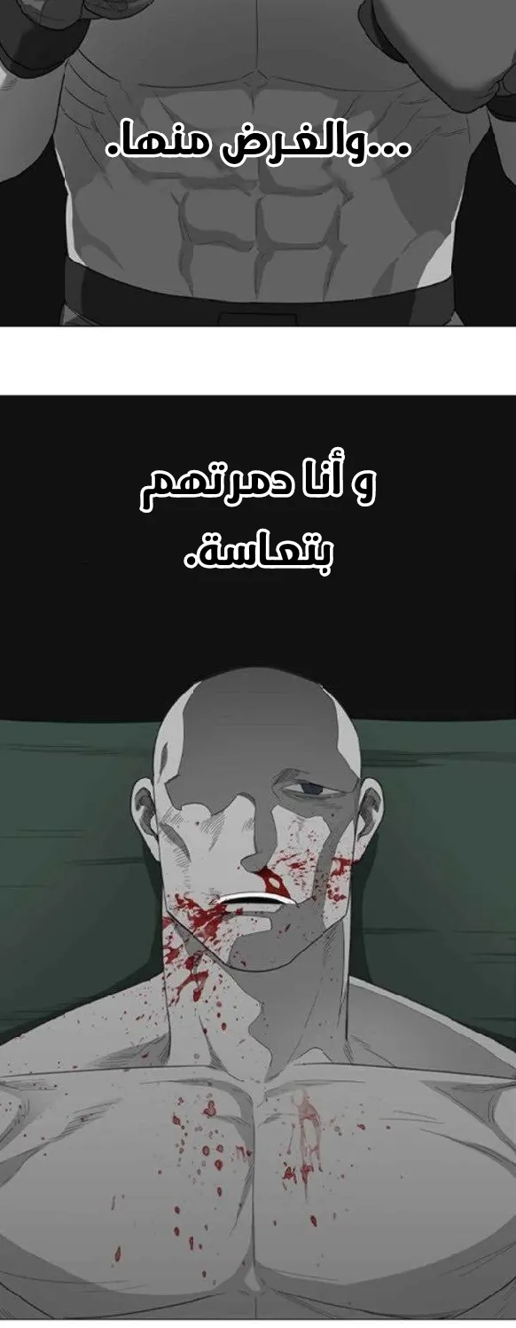 الصفحة 23 من 55