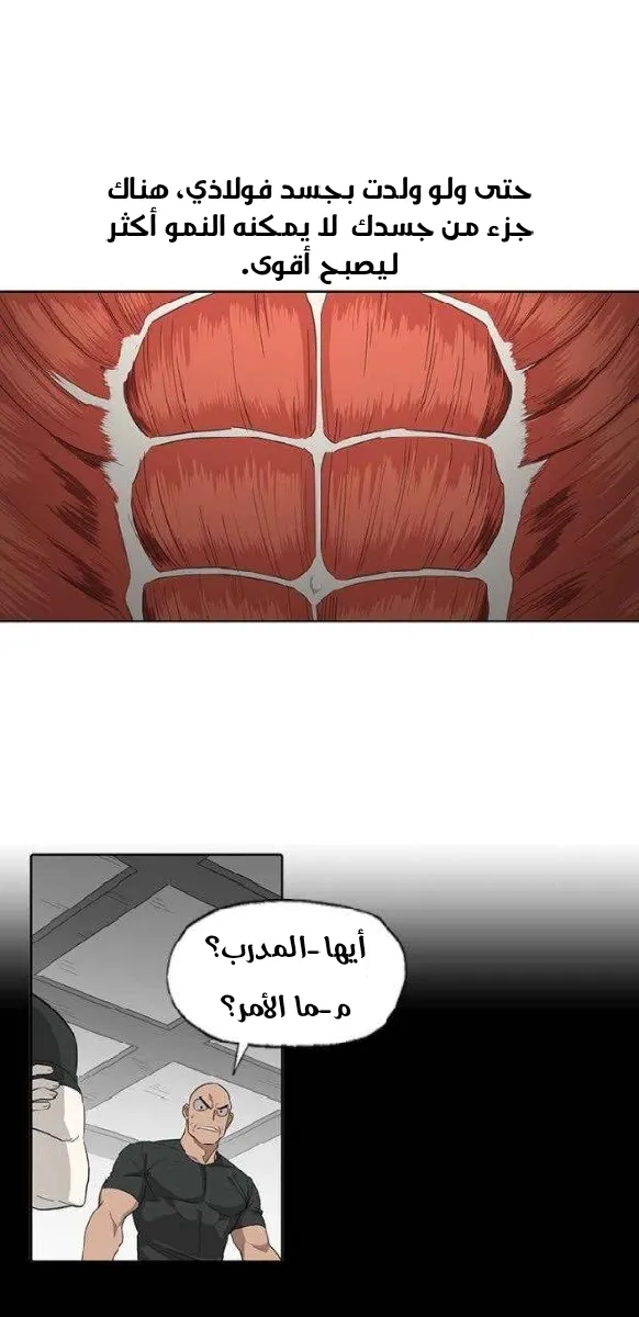 الصفحة 41 من 55