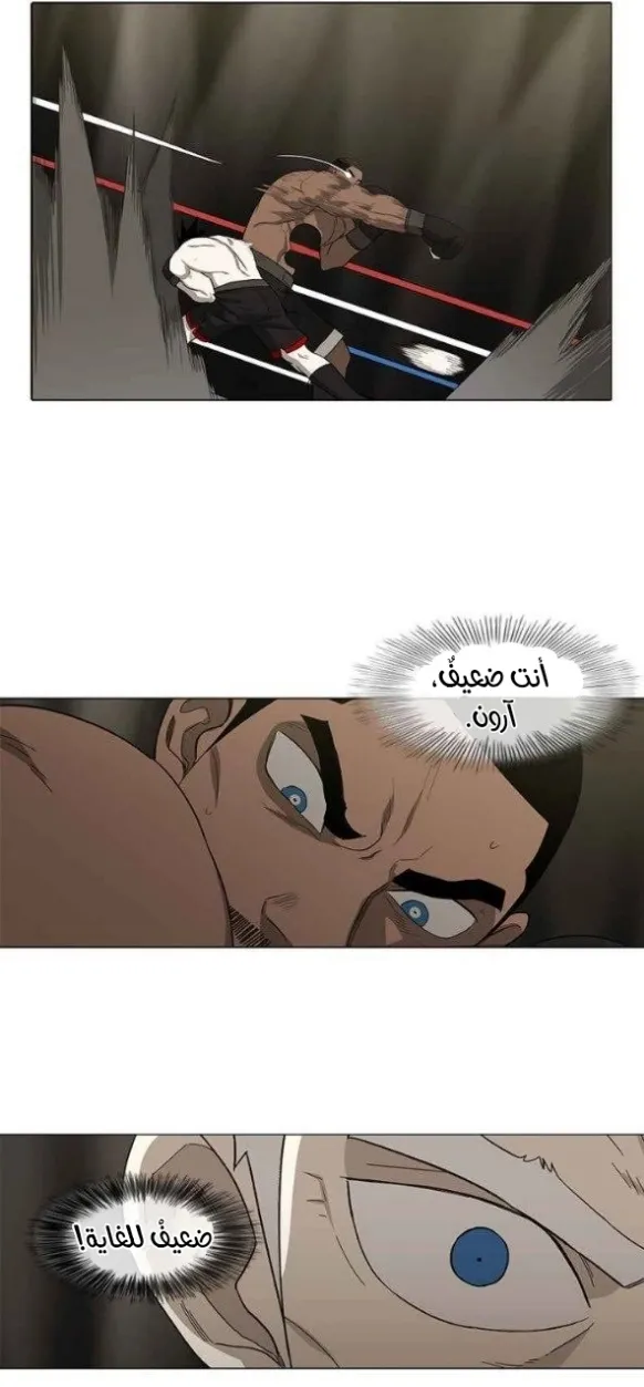 الصفحة 46 من 55