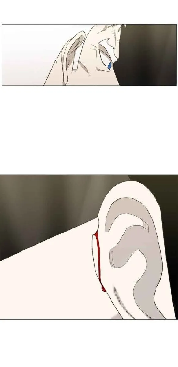 الصفحة 14 من 55