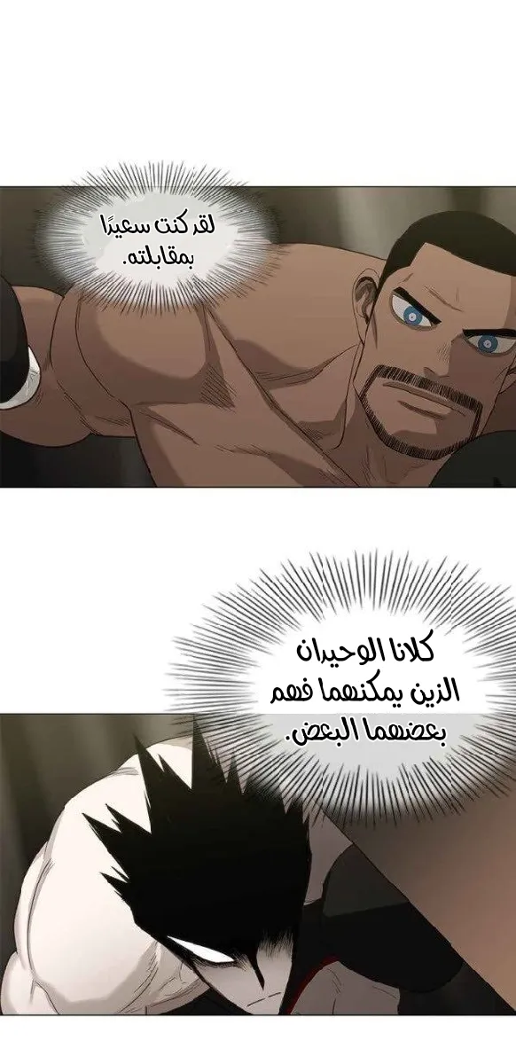 الصفحة 19 من 55