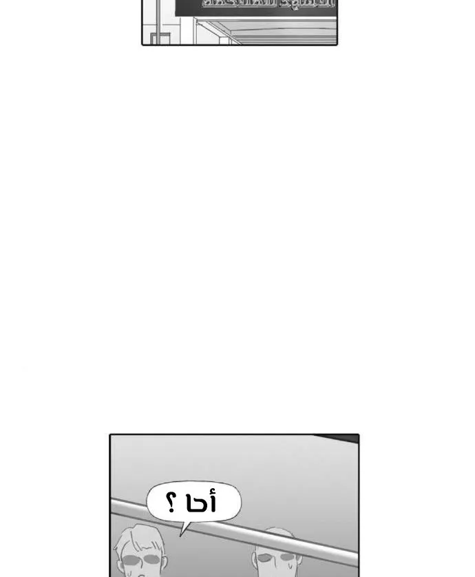 الصفحة 43 من 140