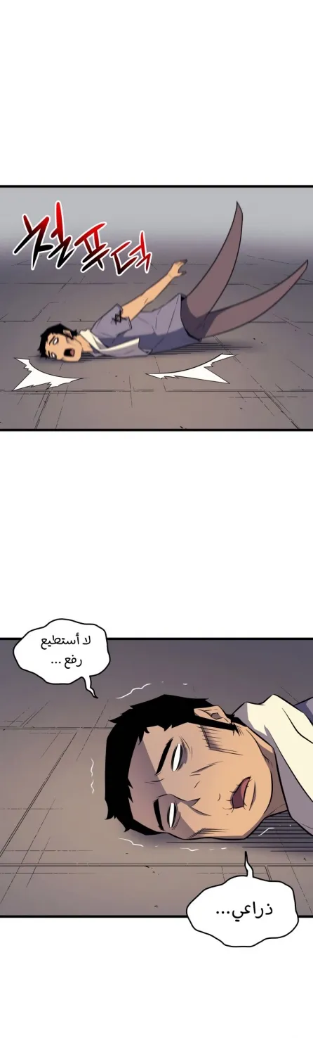 الصفحة 31 من 46