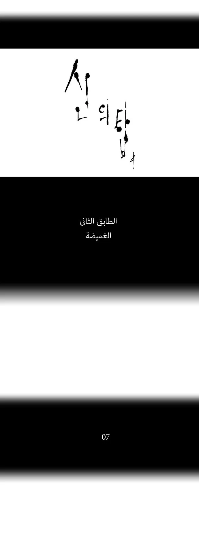الصفحة 5 من 31