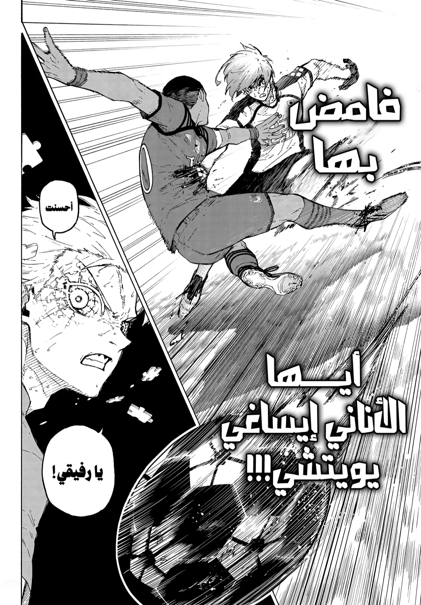 الصفحة 2 من 7