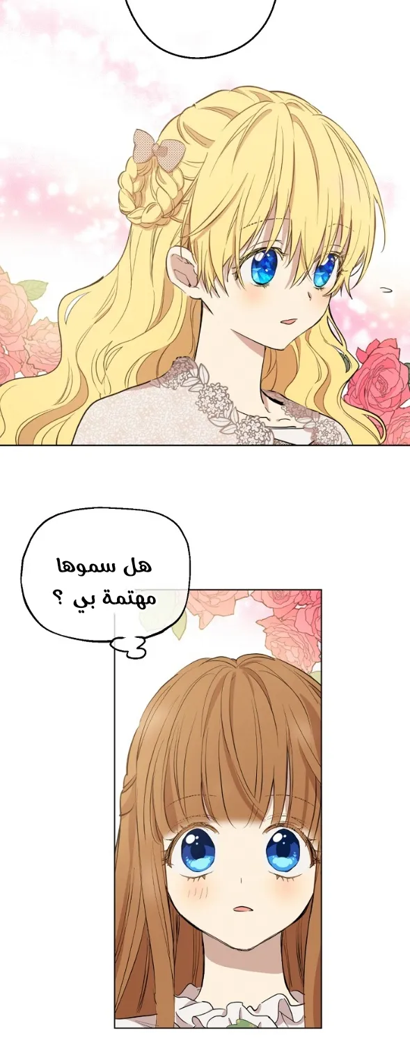 الصفحة 31 من 58