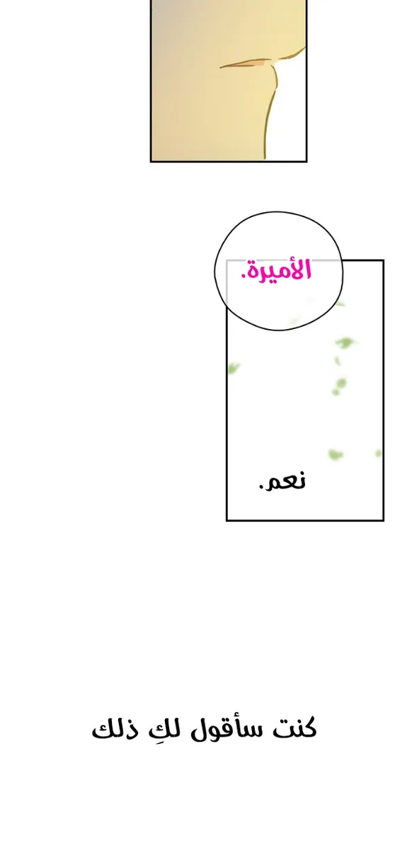 الصفحة 43 من 58