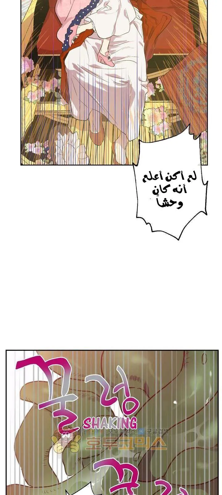 الصفحة 20 من 29