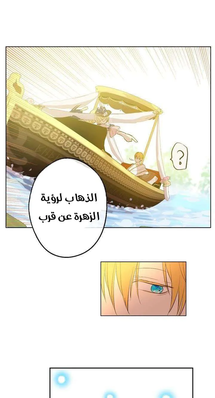 الصفحة 8 من 29