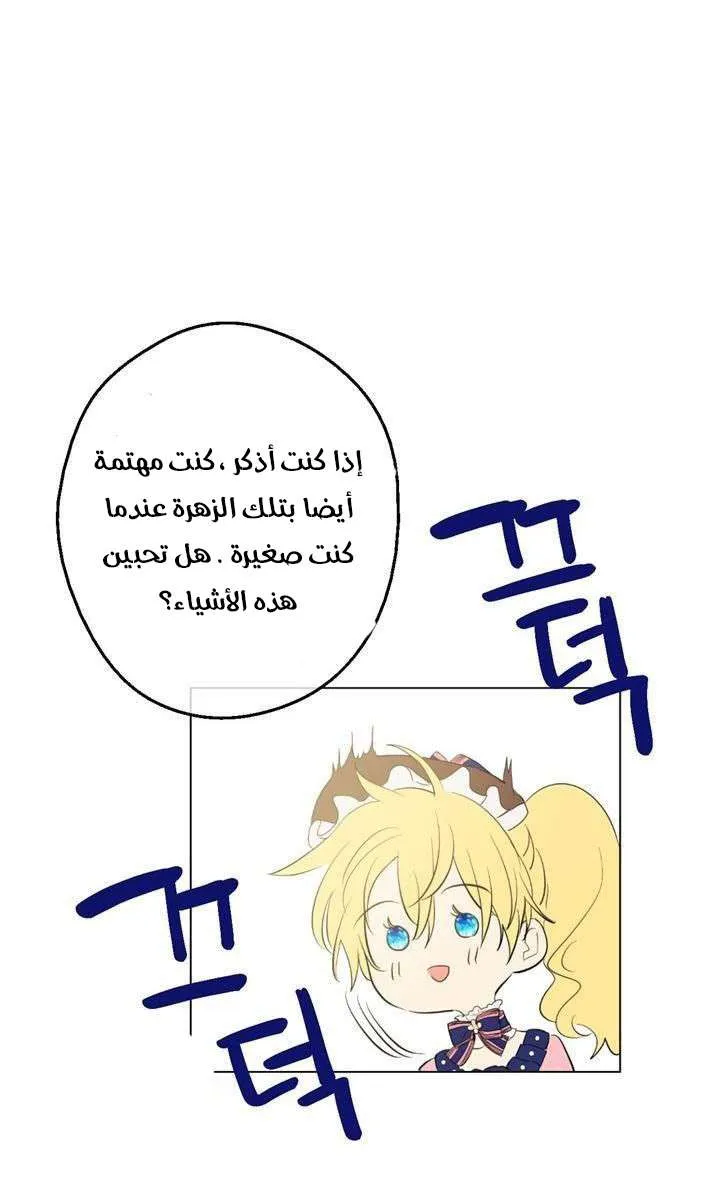 الصفحة 10 من 29