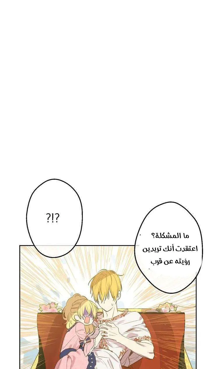 الصفحة 19 من 29