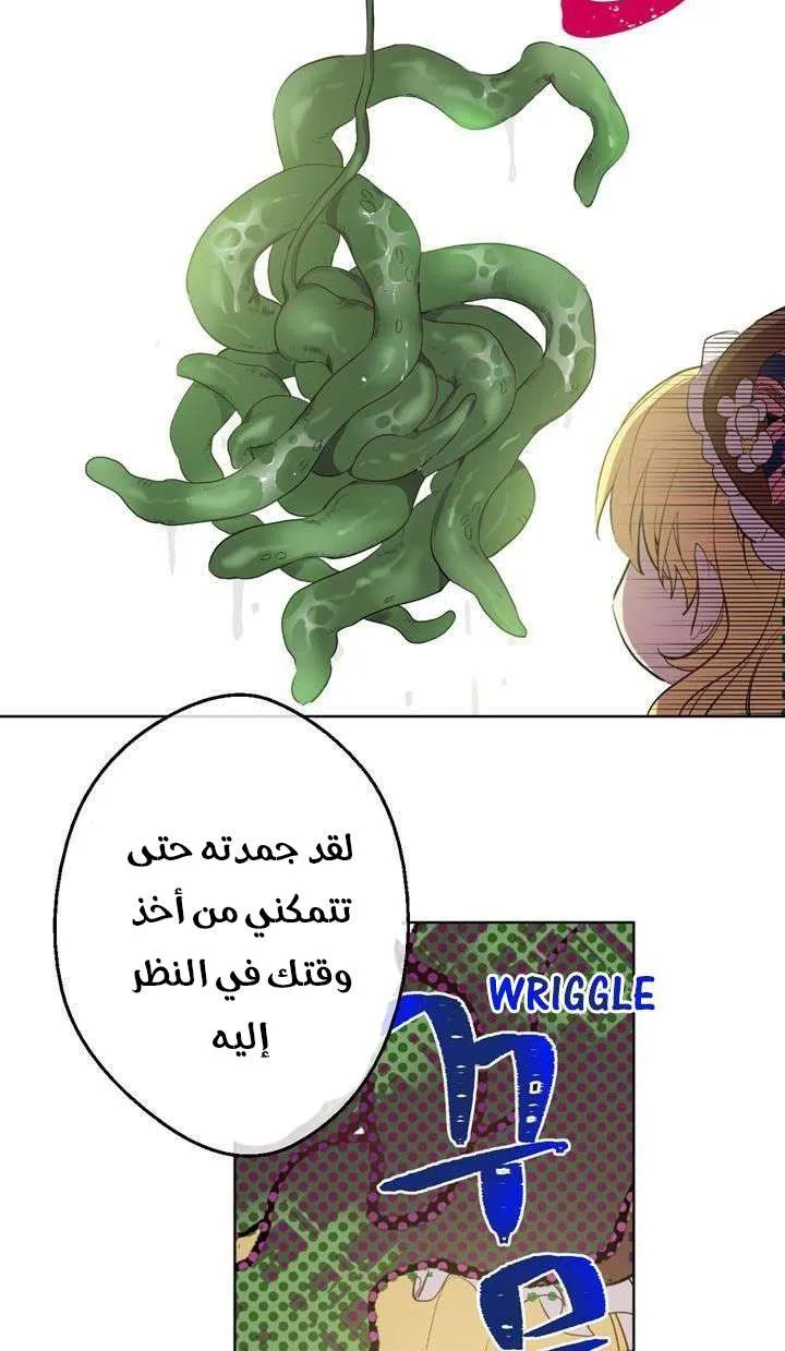الصفحة 17 من 29