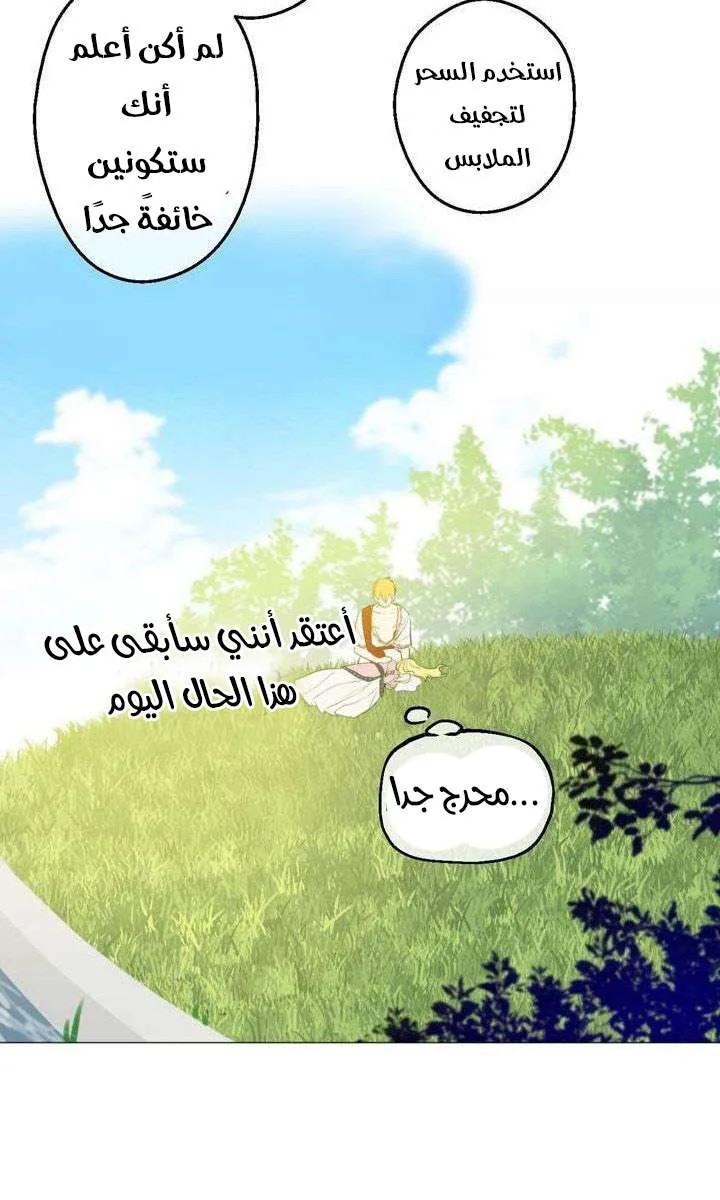 الصفحة 28 من 29