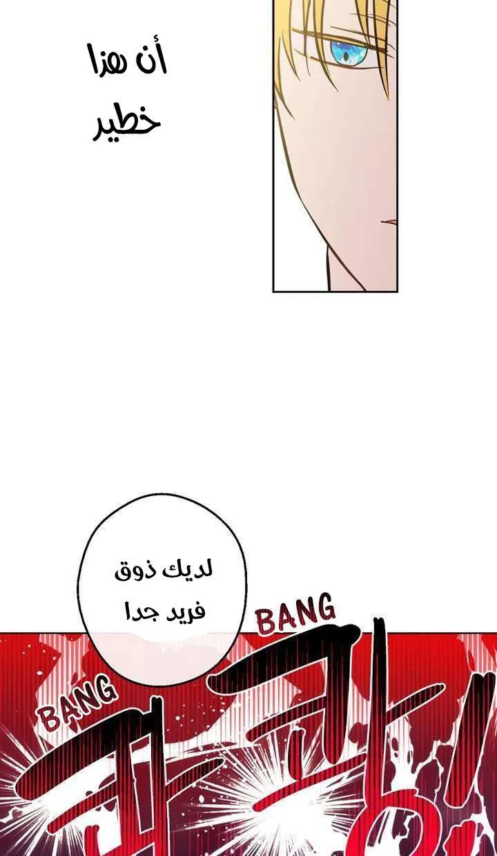 الصفحة 13 من 29