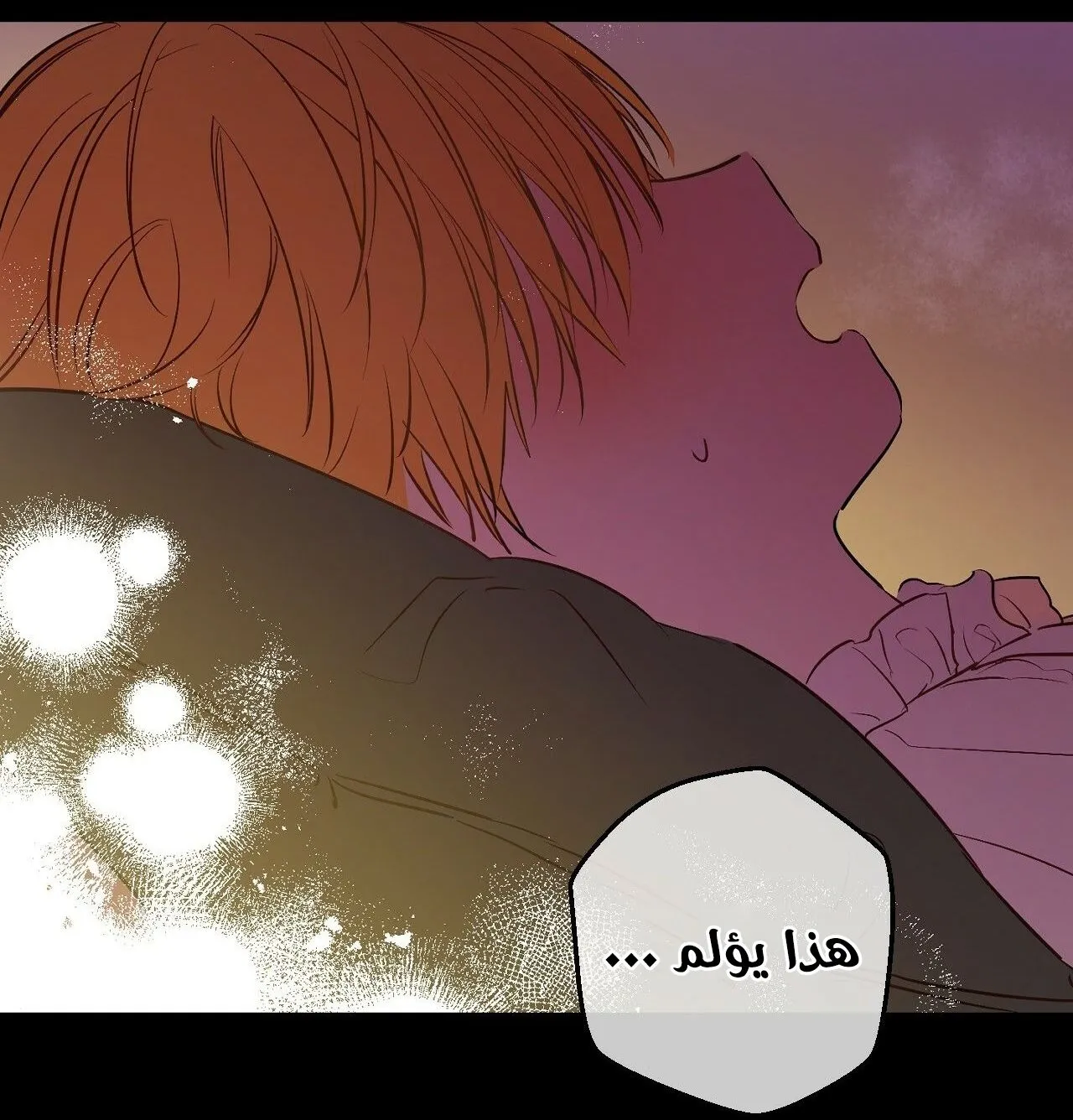 الصفحة 54 من 116