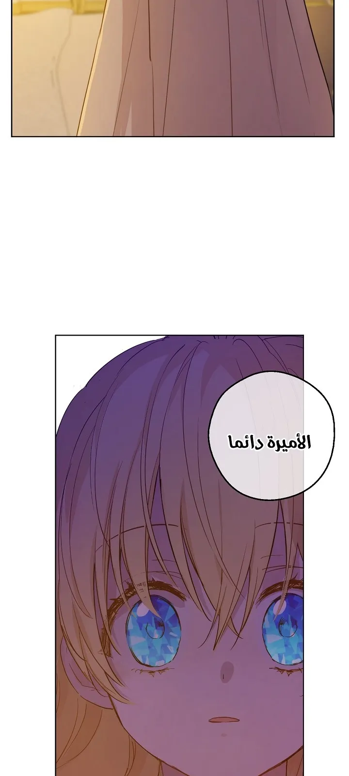 الصفحة 40 من 79