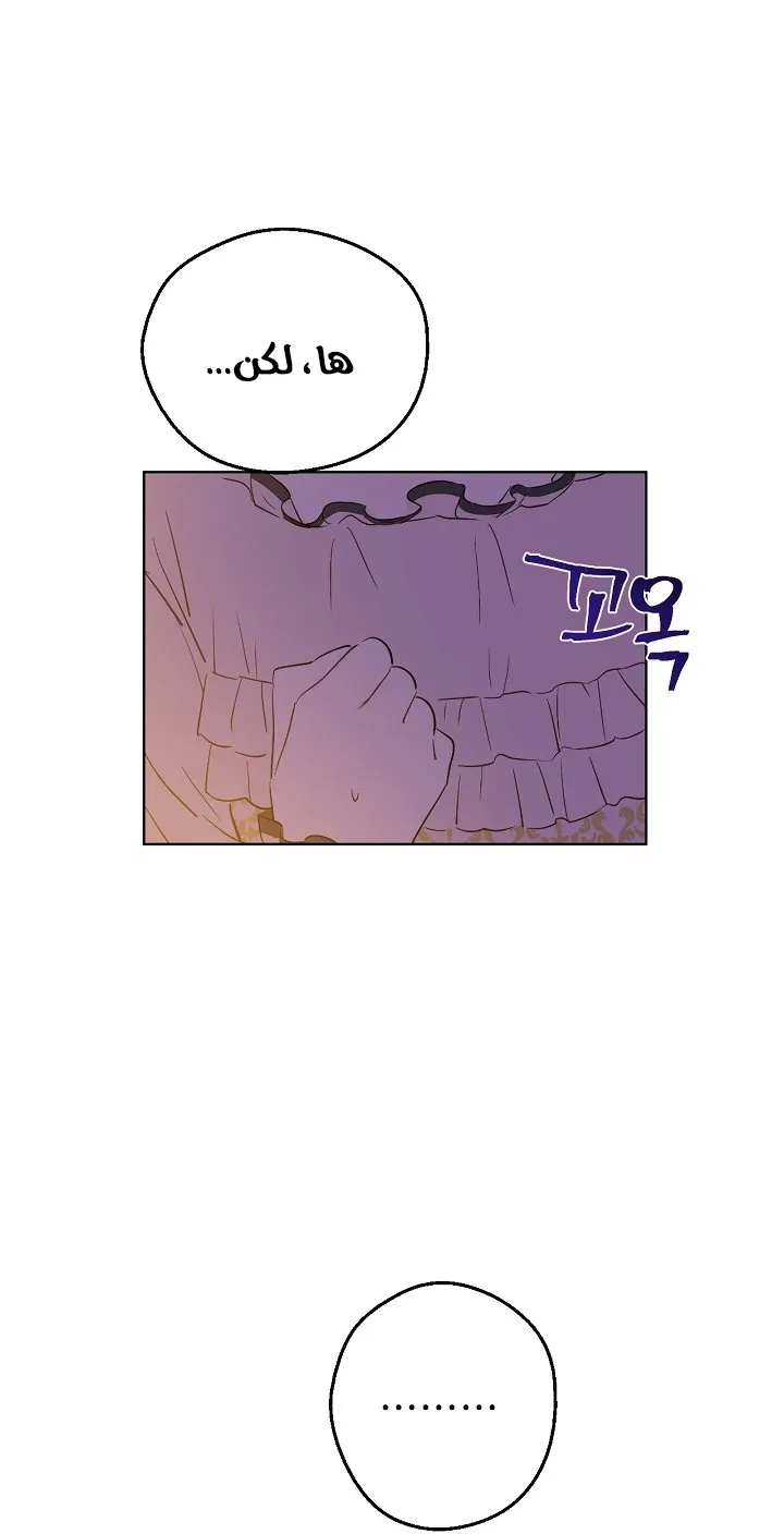 الصفحة 38 من 79