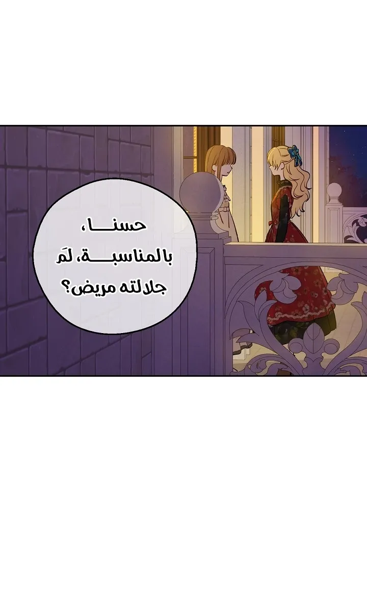 الصفحة 28 من 79