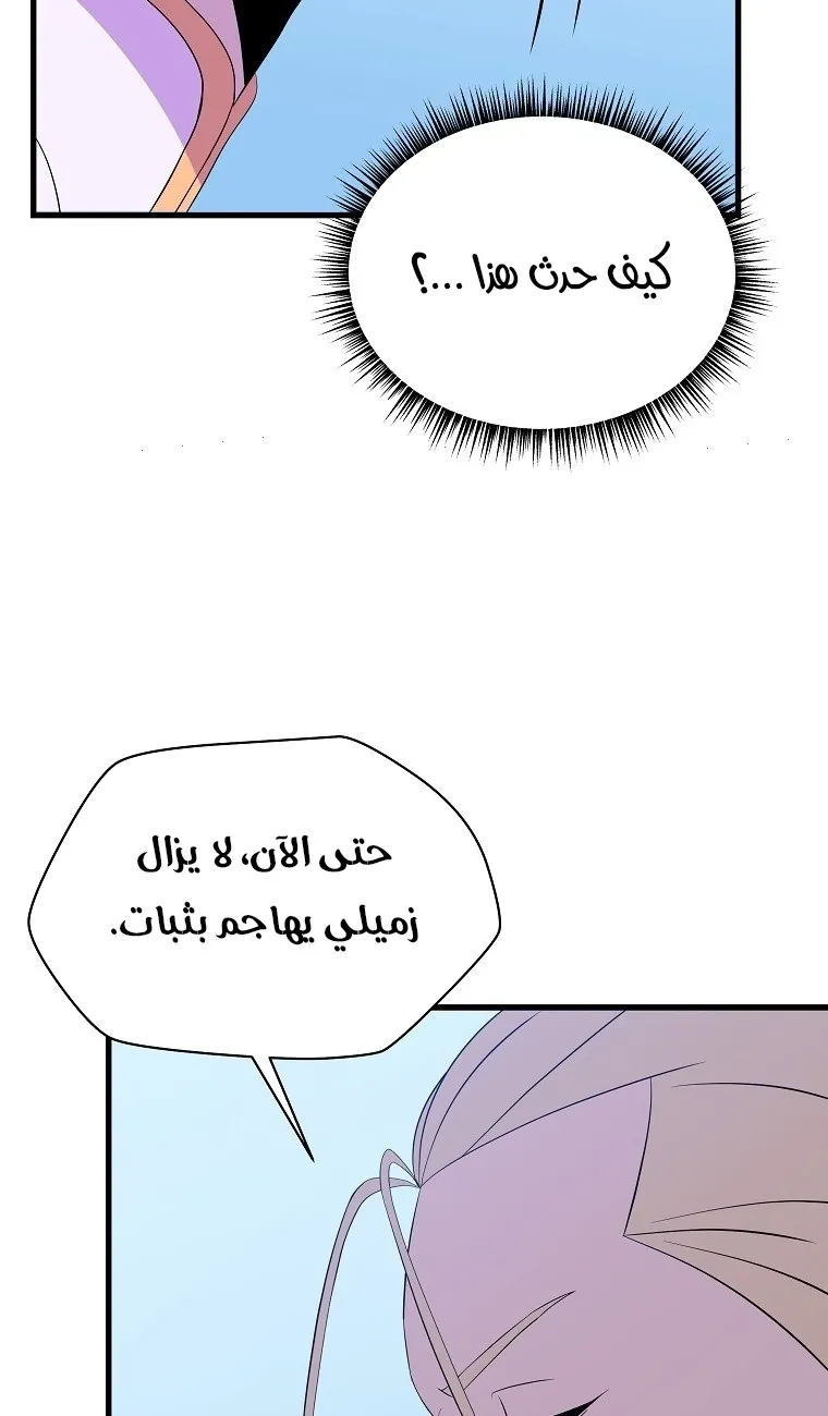 الصفحة 28 من 81