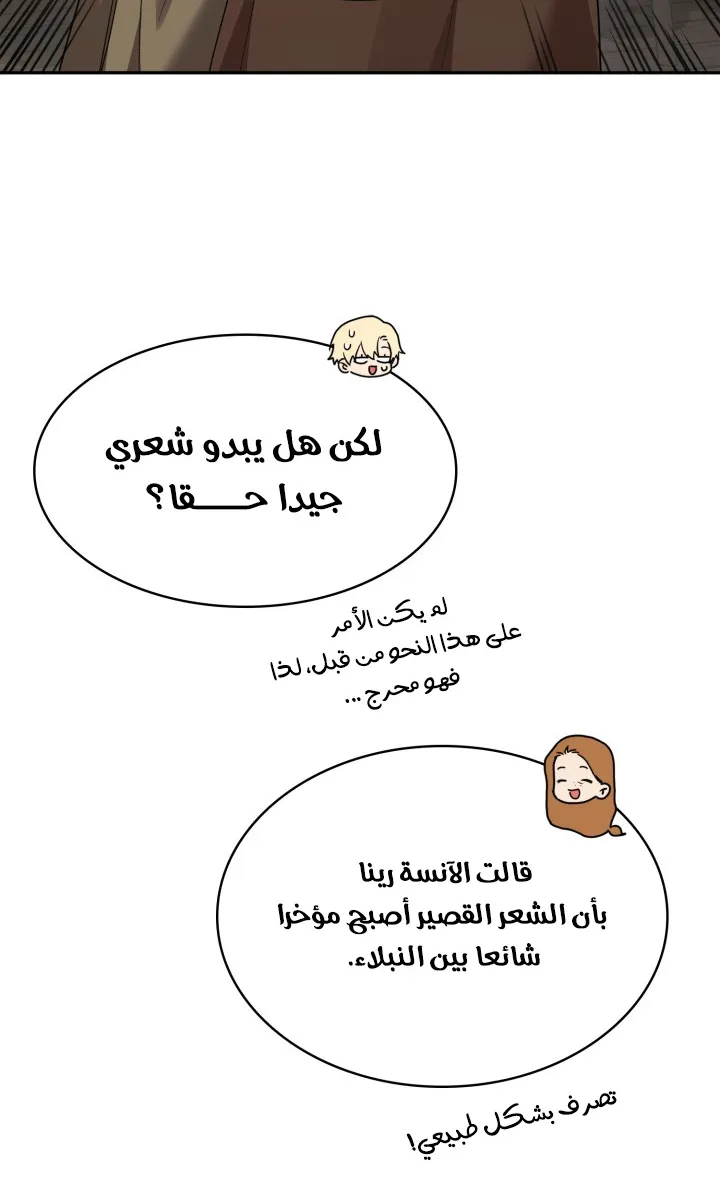 الصفحة 38 من 111